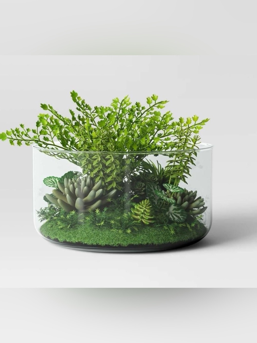 Large Faux Potted succulent glass and black vase - Room Essentials Home accents